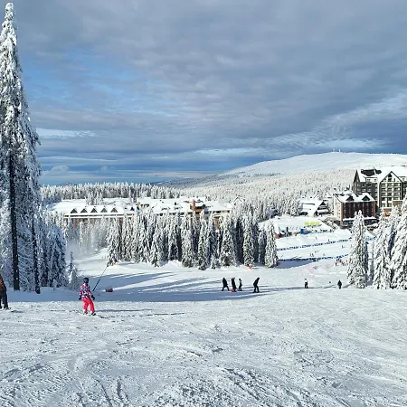 Apartament Woodside By Anaya Kopaonik